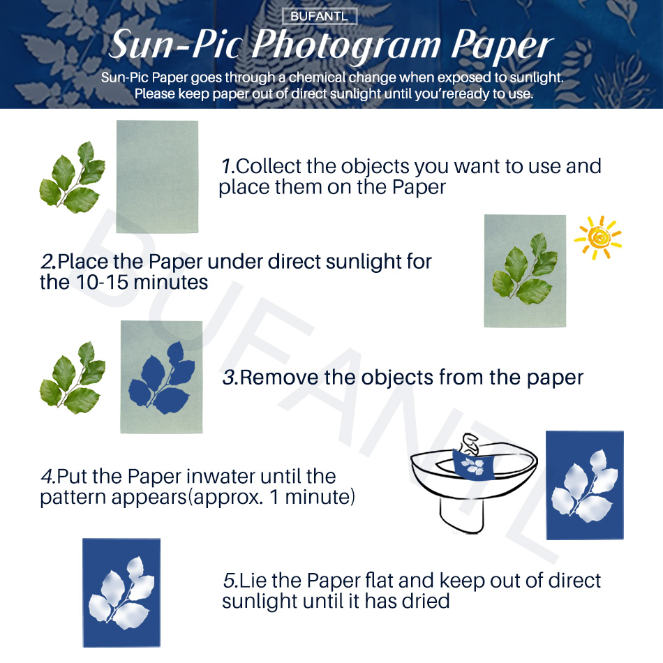 Papel para Cianotipia, Paquete - Photography Lighting Beginners reseña y precio