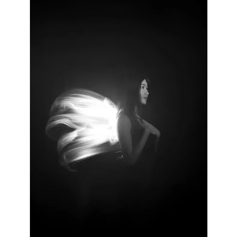 Módulo de luz de cepillo liger - Photography Lighting Guide reseña y precio