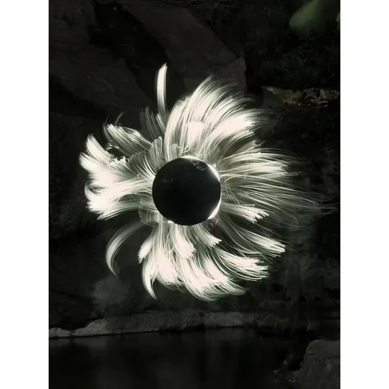 Módulo de luz de cepillo liger - Photography Lighting Guide reseña y precio