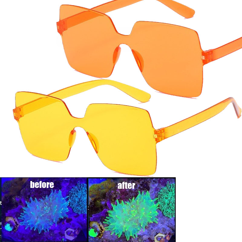 Gafas de observación de coral  - Photography Natural Lighting reseña y precio