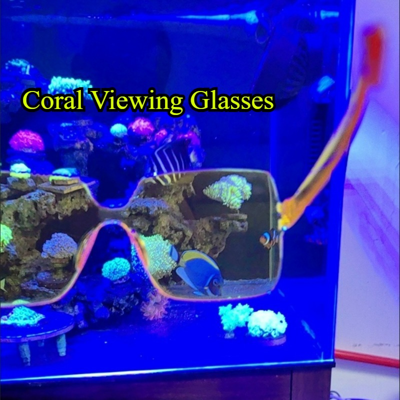 Gafas de observación de coral  - Photography Natural Lighting reseña y precio