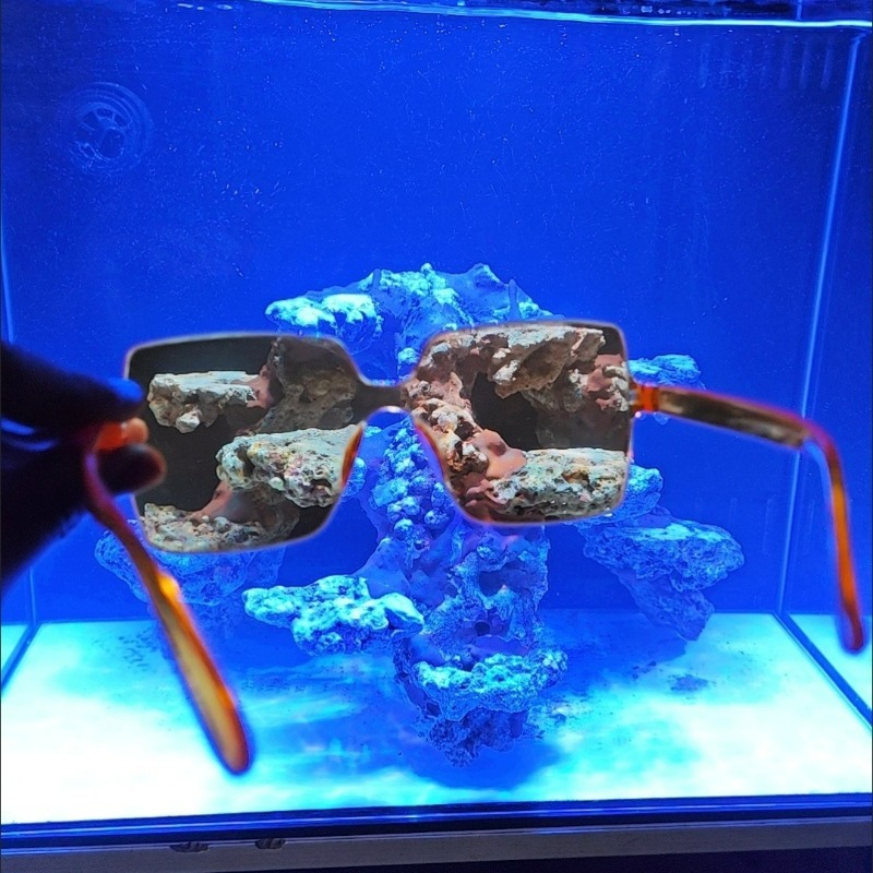 Gafas de observación de coral  - Photography Natural Lighting reseña y precio